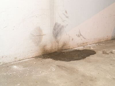 Professional water damage restoration services in Carson - OpalVeil